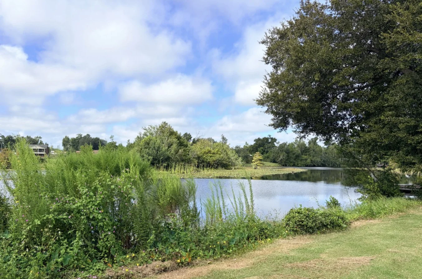 6107 Edith Stephens Dr — Pond view